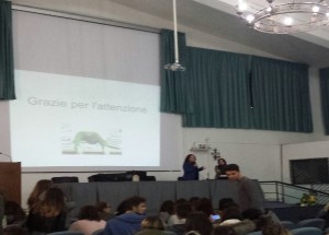 convegno-sulle-malattie-sessualmente-trasmissibili-mst