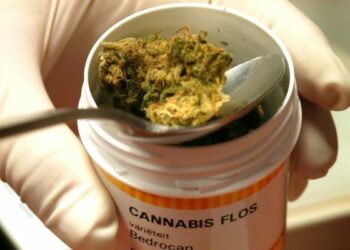 Curarsi con la Cannabis in Calabria