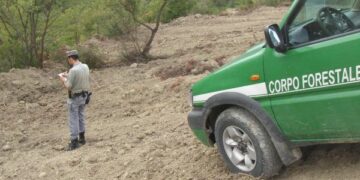 Disbosca area per destinarla a superficie agraria, denunciato dalla Forestale