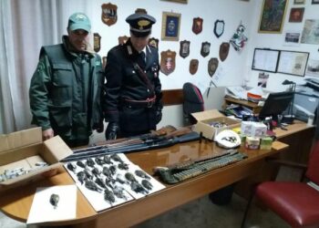 In possesso di fauna selvatica protetta, denunciati tre cacciatori