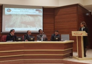 la-ricerca-e-lo-sviluppo-attraverso-i-poli-di-innovazione-regionale