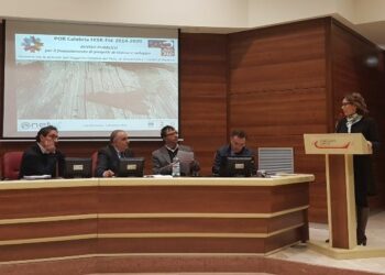 La Ricerca e lo Sviluppo attraverso i Poli di Innovazione Regionale