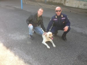 le-guardie-zoofile-ak-crotone-recuperano-cane-abbandonato