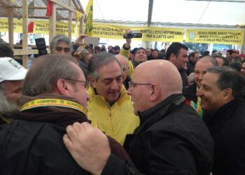 Latte: Coldiretti, siglato accordo prezzo minimo a 39 centesimi a litro