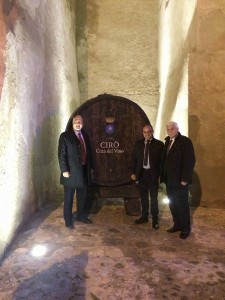 oggi-premio-ciro-citta-del-vino-2016-vino-e-novello-sotto-il-castello2