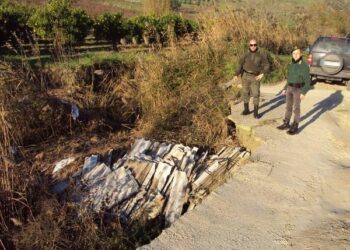 Rinvenuta un’altra discarica dalle guardie zoofile nel territorio di Casabona