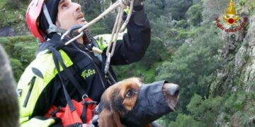 Segugio da caccia caduto in un dirupo profondo 60 metri, salvato dai Pompieri