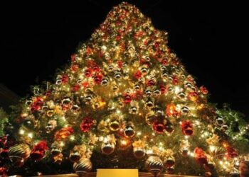 Addobba il tuo albero di quartiere, iniziativa del Comune e Ente Parco