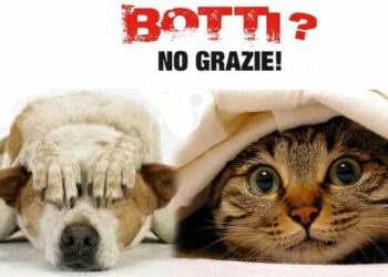 Botti natalizi, l’Earth chiede ai Sindaci Calabresi di emettere Ordinanza