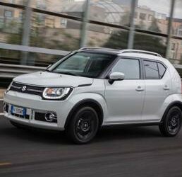 L’ibrido «furbo» è in formato bonsai