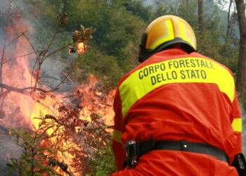 Forestale, incendi: 18 persone denunciate all’autorita’ giudiziaria