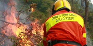 Forestale, incendi: 18 persone denunciate all’autorita’ giudiziaria