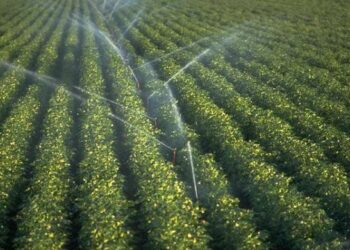 Coldiretti: il cipe porta a 600 milioni le risorse per il piano irriguo nazionale