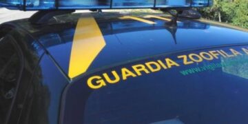 Rinvenuto deposito incontrollato di rifiuti pericoli a Isola di Capo Rizzuto