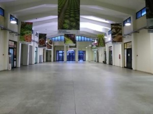 Agroalimentare, artigianato e innovazione- pronta la 46edizione di Fieragricola 2