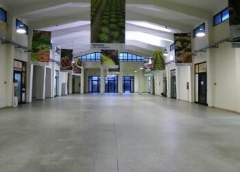 Agroalimentare, artigianato e innovazione: pronta la 46edizione di Fieragricola