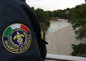 Bando per il Corso di Guardia Ecozoofila a Crotone