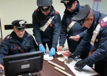 I Carabinieri continuano il contrasto allo spaccio di sostanze stupefacenti