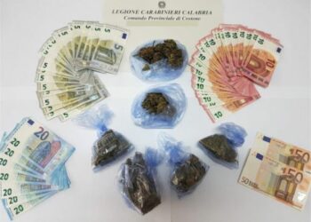 Crotone e Torretta di Crucoli, sequestrati stupefacenti e armi detenute illegalmente