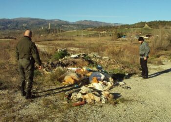 Guardie Zoofile: Rinvenuta discarica abusiva di rifiuti speciali