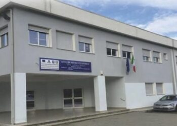 Nuova Scuola a Mirto, a settembre operativo il Liceo Scientifico