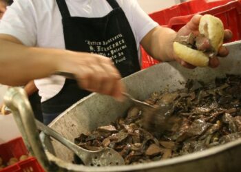 Coldiretti, Primo raduno dei cibi di strada a km 0 della Calabria