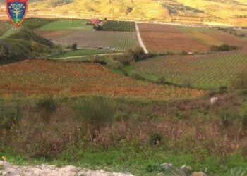 Scoperta cava abusiva nel Comune di Melissa, scatta sequestro e denuncia