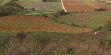 Scoperta cava abusiva nel Comune di Melissa, scatta sequestro e denuncia