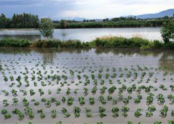 Ancora danni per i violenti nubifragi il report delle situazioni a rischio