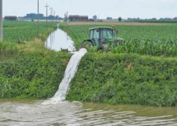 Nei Consorzi di Bonifica continua a vincere la Coldiretti