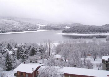 La Rai e Geo&Geo in visita al Parco Nazionale della Sila