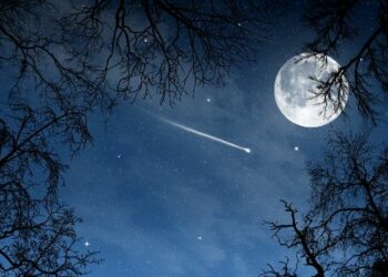 Se la luna in cielo sfavilla