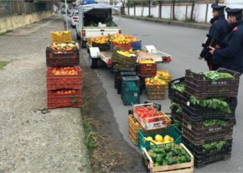 Sequestrati 1000kg di frutta e verdura a Ciro’Marina, venduta senza licenza