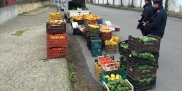 Sequestrati 1000kg di frutta e verdura a Ciro’Marina, venduta senza licenza