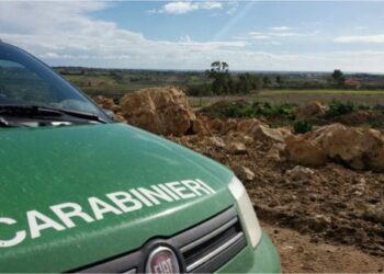 Irregolarità nella legittimazione di terreni demaniali a Cotronei, 5 denunciati