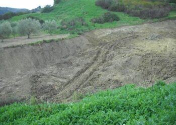 Estirpa macchia mediterranea, denunciato dai Carabinieri Forestale