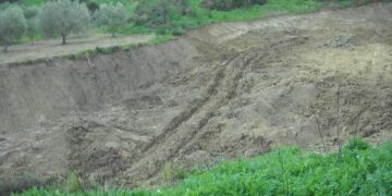 Estirpa macchia mediterranea, denunciato dai Carabinieri Forestale