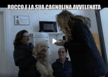 Le Iene a Cirò Marina: Caterina Ferraro consegna il suo cagnolino Rocco