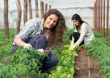 L’Agricoltura Sociale, un modello di Sviluppo Territoriale al Servizio della Comunità