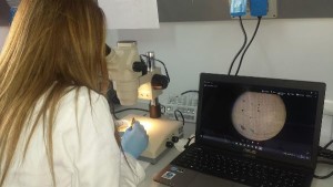 Rifiuti- al via elaborazione dati della presenza in Calabria di microplastiche nei mari Jonio e Tirreno1