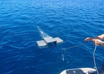 Rifiuti: al via elaborazione dati della presenza in Calabria di microplastiche nei mari Jonio e Tirreno