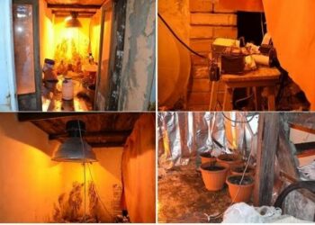 Sequestrata droga in una casa rurale a Cotronei