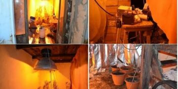 Sequestrata droga in una casa rurale a Cotronei