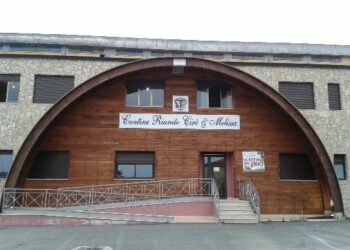 Torre Melissa, Assemblea Soci di Cantine Riunite: elezione del Consiglio di Amministrazione