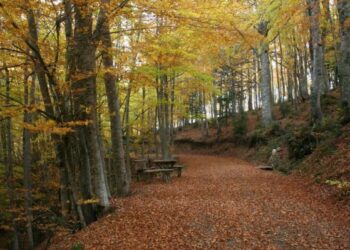 “Adotta un Sentiero” nel Parco Nazionale della Sila