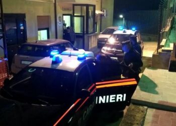 Furto di arance a Roccabernarda, arrestati tre cutresi dai Carabinieri