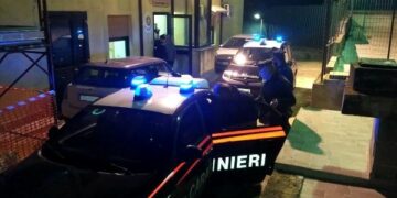 Furto di arance a Roccabernarda, arrestati tre cutresi dai Carabinieri