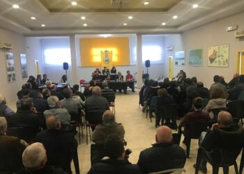 Cariati, la sindaca Filomena Greco: Abbiamo approvato il primo vero bilancio