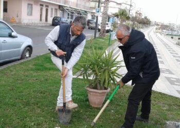Città Pulita continua a collaborare con i cittadini sul fronte del decoro urbano