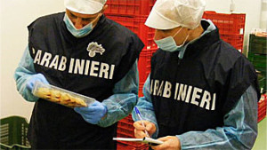 Controllo dei Carabinieri su irregolarità e lavoro nero in un azienda di Cirò marina